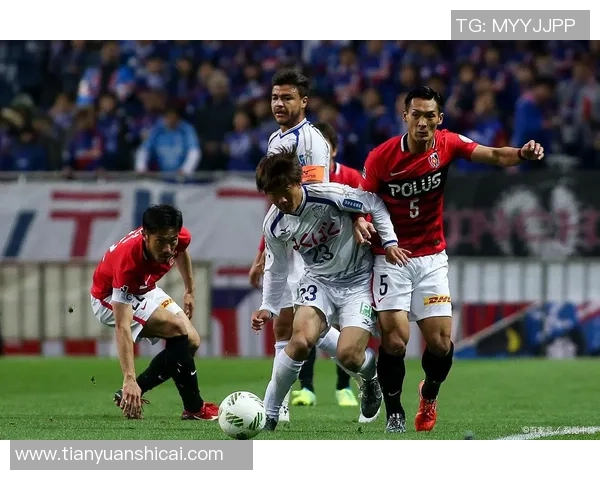 甲府风林与岐阜FC对决前瞻及比分预测分析